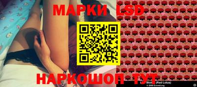 сатива Кандалакша