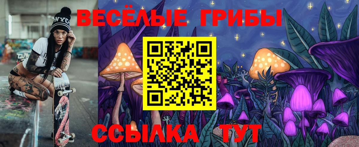 Галлюциногенные грибы прущие грибы  Вход с VPN  Тверь 